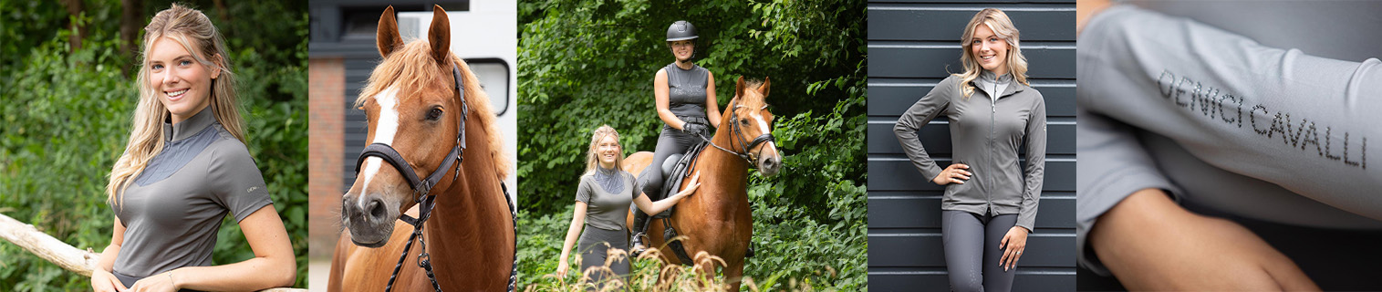 Harry's Horse Denici Cavalli Shadow Harry's Horse Denici Cavalli Shadow
