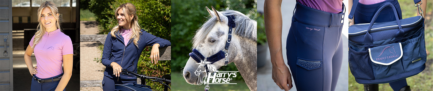 Harry's Horse Denici Cavalli Purple Passion 2026 Harry's Horse Denici Cavalli Purple Passion 2026