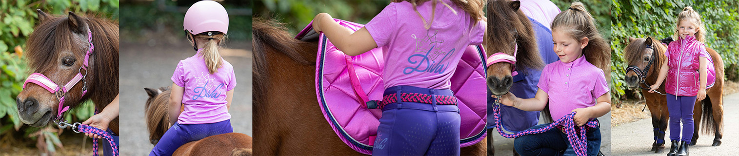 Harry's Horse Diva Violet 2025