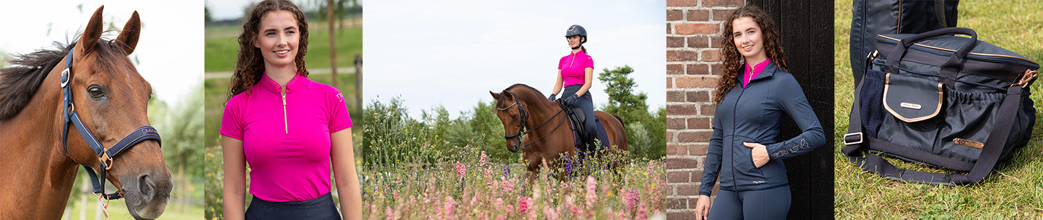 Harry's Horse Just Ride 2025