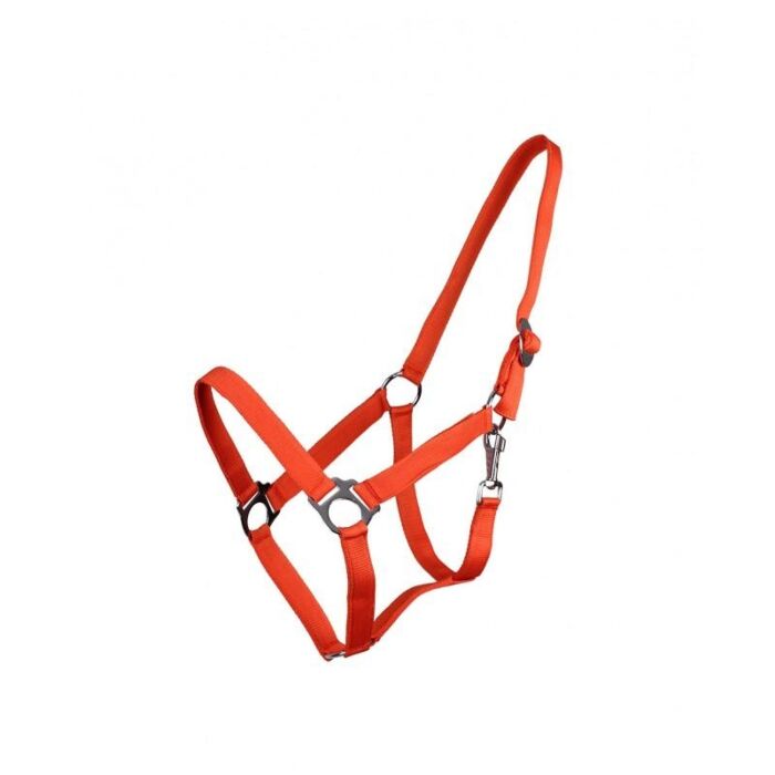 Halfter mit einem Schieber QHP orange Shet Halfter mit einem Schieber QHP orange Shet