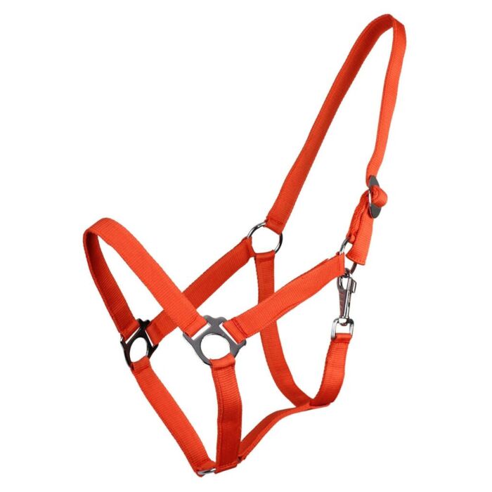 Halfter QHP Schuif orange Full Halfter QHP Schuif orange Full