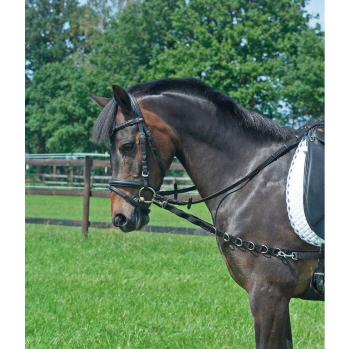 Ausbindezügel Busse Basic schwarz Pony