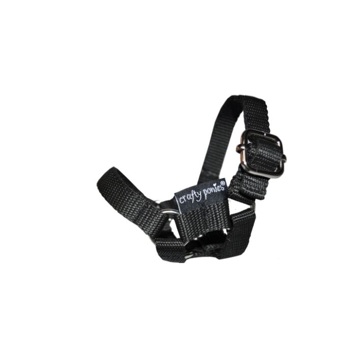 Halfter Crafty Ponies Schwarz Halfter Crafty Ponies Schwarz