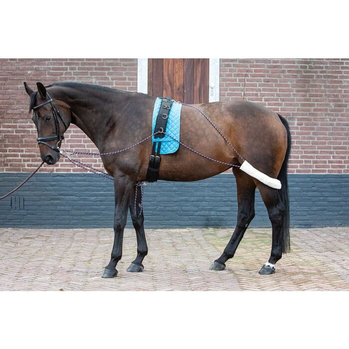 Longierhilfe Harry's Horse weiß Pony