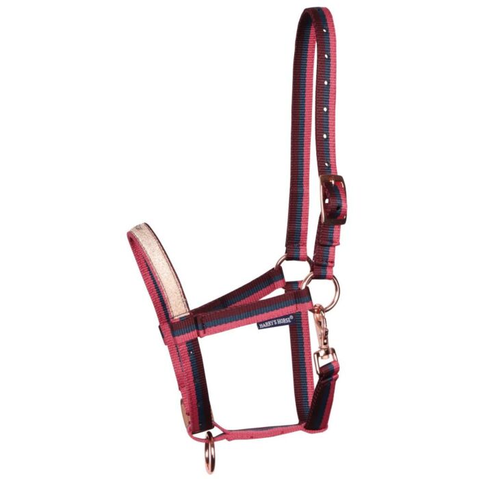 Fohlenhalfter Harry's Horse Midnight Navy Veulen