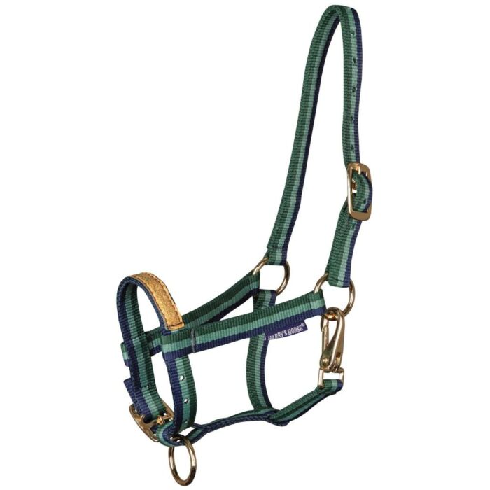 Halfter Harry's Horse Anton Frosty Spruce Veulen