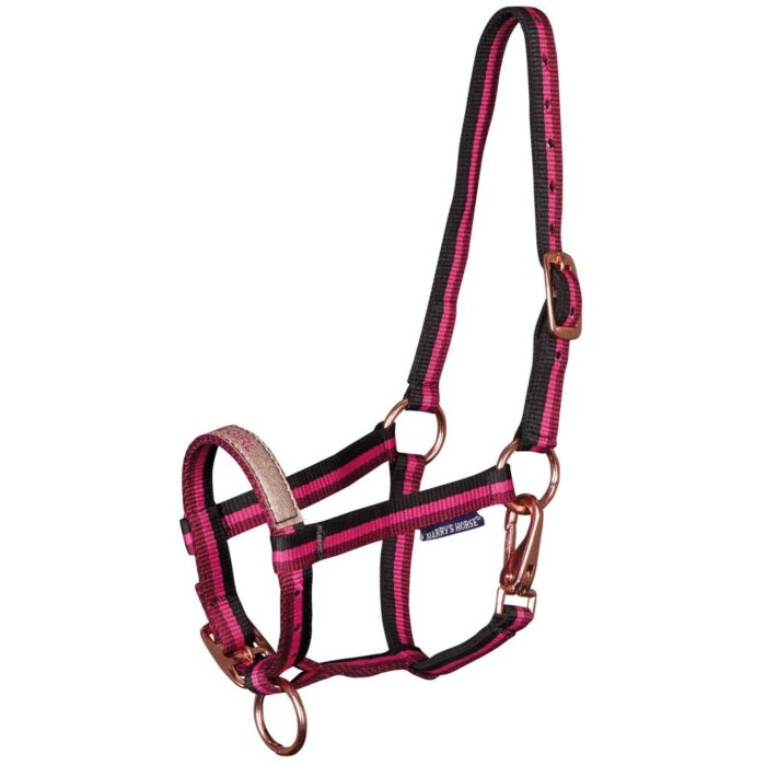 Halfter Harry's Horse Anton Cactus Flower Veulen