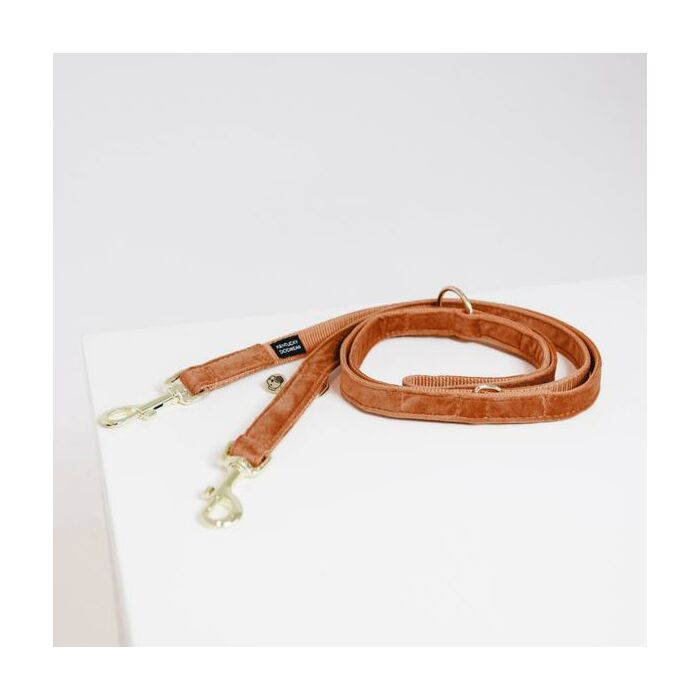 Hundeleine Kentucky Velvet orange 2 Meter