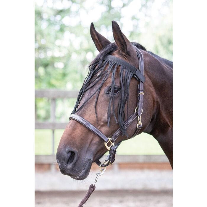 Fliegenfransen Harry's Horse Schwarz Full