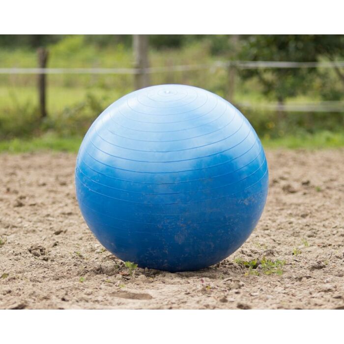 Pferdefußball QHP Blue 80-100 cm Pferdefußball QHP Blue 80-100 cm