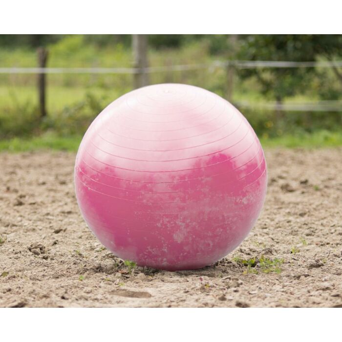 Pferdefußball QHP Pink 80-100 cm Pferdefußball QHP Pink 80-100 cm