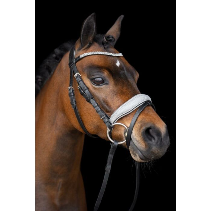 Trensenzäume Imperial Riding Rainbow Latte Shetland Trensenzäume Imperial Riding Rainbow Latte Shetland