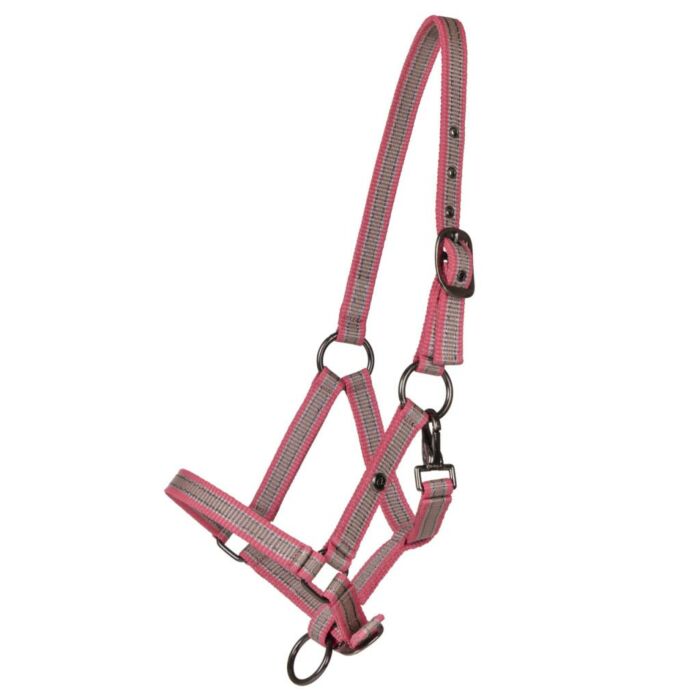 Halfter QHP jahrlin collection Flamingo Halfter QHP jahrlin collection Flamingo
