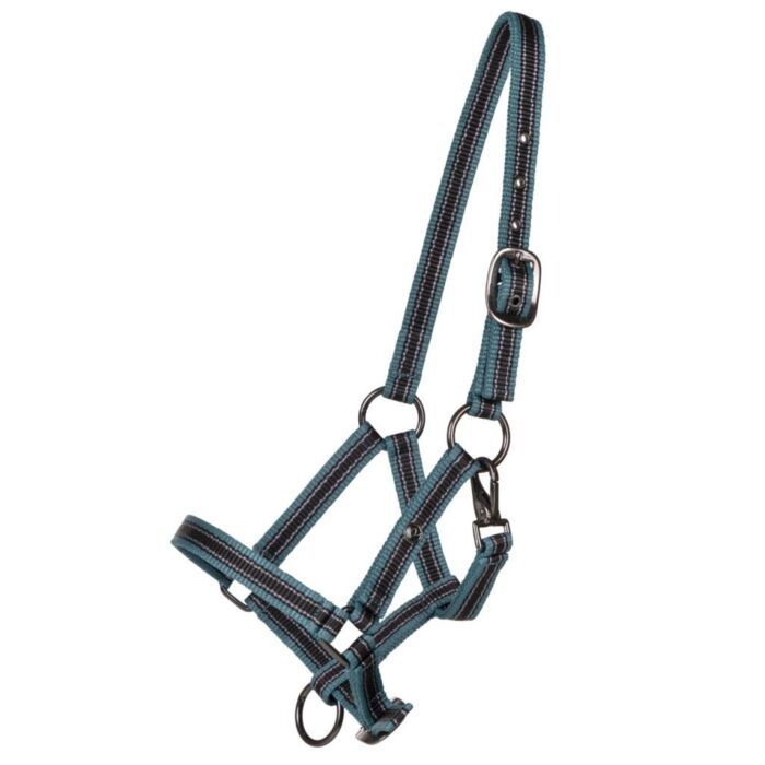 Halfter QHP jahrlin collection Ocean Breeze Halfter QHP jahrlin collection Ocean Breeze