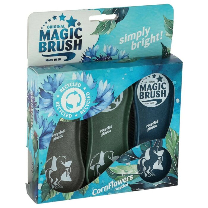 Magic Brush Harry's Horse Corn Flowers