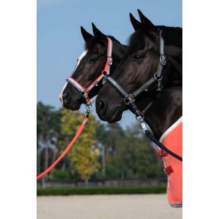 Eskadron Halfter ES Glam Crystal Double Pin