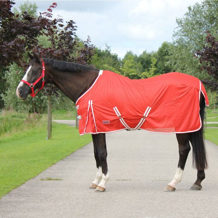 spec_dekenmaat spec_dekenmaat