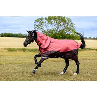 Turnoutdecke LeMieux Arika Ripstop 200g Cranberry