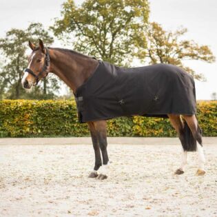 Showdecke QHP Avenna Black
