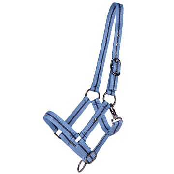 Halfter Jährling QHP Country blue Jaarling