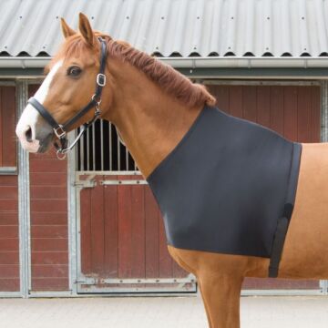 Brustschutz Harry's Horse Lycra  S