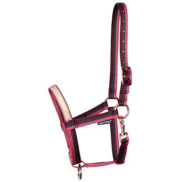 Fohlenhalfter Harry's Horse Midnight Navy Veulen