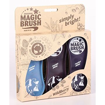 Magic Brush Harry's Horse Wildberry