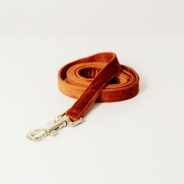Hundeleine Kentucky Velvet orange 120 cm