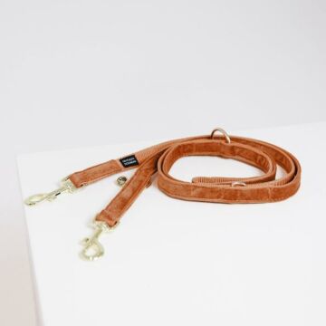 Hundeleine Kentucky Velvet orange 2 Meter