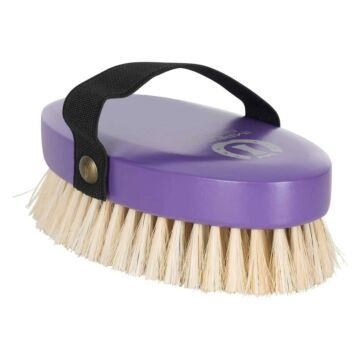 Hauptbürste Imperial Riding Royal Purple