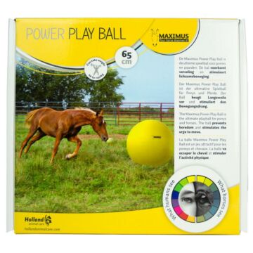 Maximus Power Play Ball 75 cm