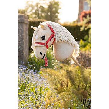 Halfter Hobby Horse LeMieux Harlow Coral Crush