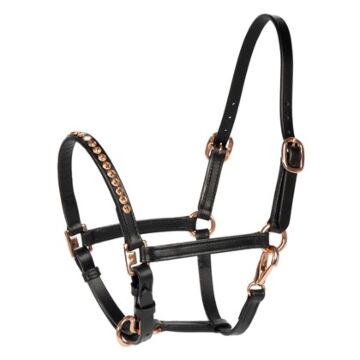 Fohlenhalfter Harry's Horse leder Crystal Rosegold Zwart Veulen