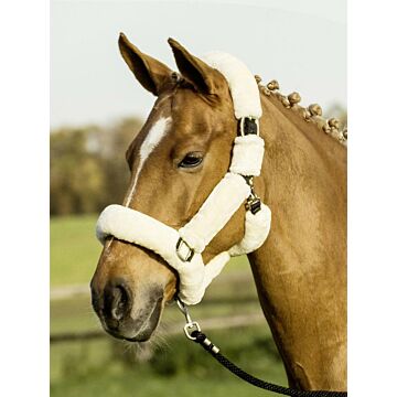 Busse Halfter Guard Cream/Black 
