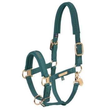 Halfter Eskadron Heritage Faux Leather Plait DP Vintage Green