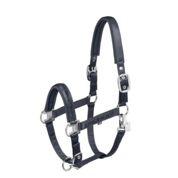 Halfter Eskadron Mattgloss Jewel Double Pin Navy
