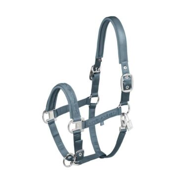 Halfter Eskadron Mattgloss Jewel Double Pin Steel blue