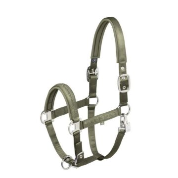 Halfter Eskadron Mattgloss Jewel Double Pin Dusty olive