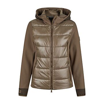Jas Pikeur Hybrid Slate Brown