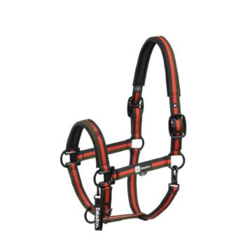 Halfter Eskadron Dynamic Double Pin Black