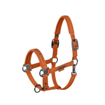 Halfter Eskadron Platinum Sparkle Double Pin Amber