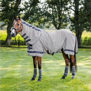 Fliegendecke LeMieux Kudos Gladiator Grey