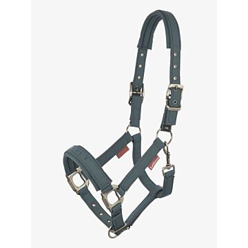 Halfter LeMieux Soft Shell Petrol