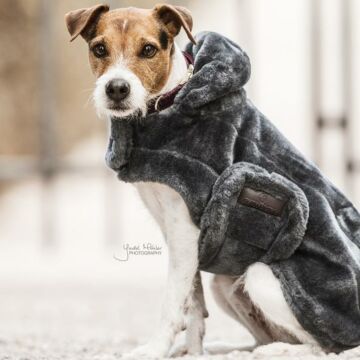 Hundedecke Kentucky Fake fur Grey