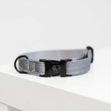 Halsband Kentucky Reflective grau