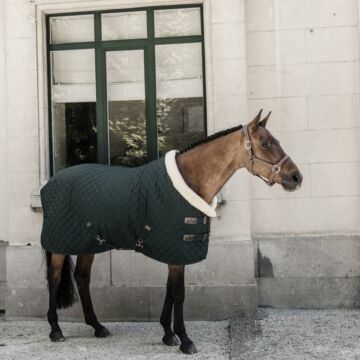Showdecke Kentucky 160 gramm Dark green