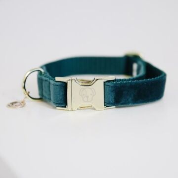 Halsband Kentucky Velvet blau/grün