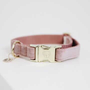 Halsband Kentucky Velvet rosa