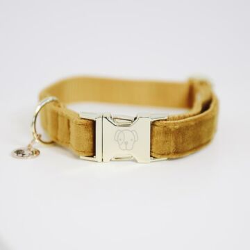 Halsband Kentucky Velvet gelb